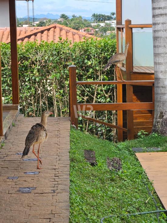 casa-em-condominio-venda-bairro-canarinho-igarape-mg-1114901