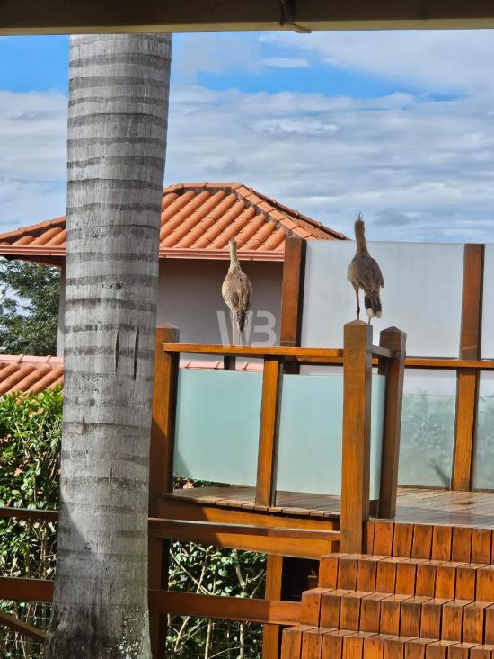 casa-em-condominio-venda-bairro-canarinho-igarape-mg-1114891